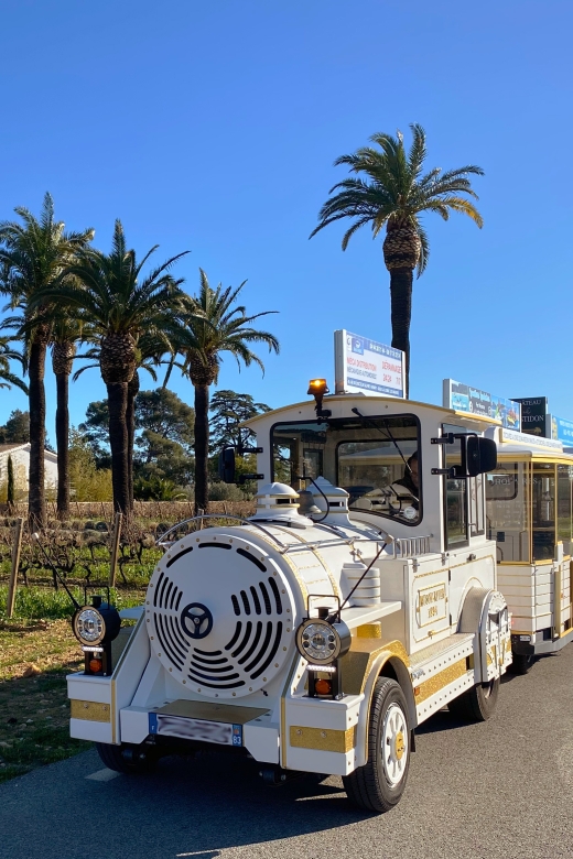 The Little Train of La Londe-les-Maures - Seeing La Londe’s vineyards from the train