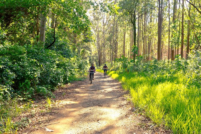The Train Track Trail Mountain Bike Ride - Private experience - Key points to know