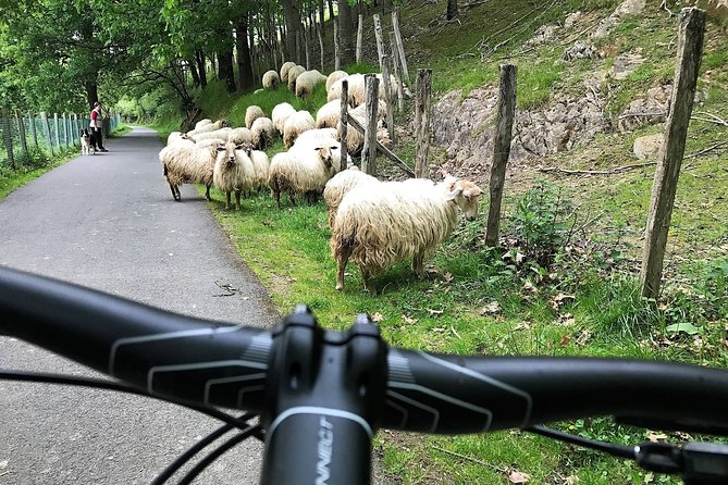 The Train Track Trail Mountain Bike Ride - Private experience - A ride shaped around your group