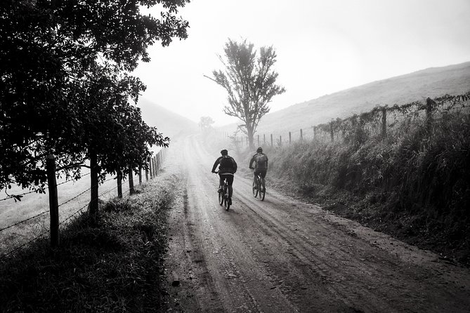 The Train Track Trail Mountain Bike Ride - Private experience - Berastegi and the inland Basque setting