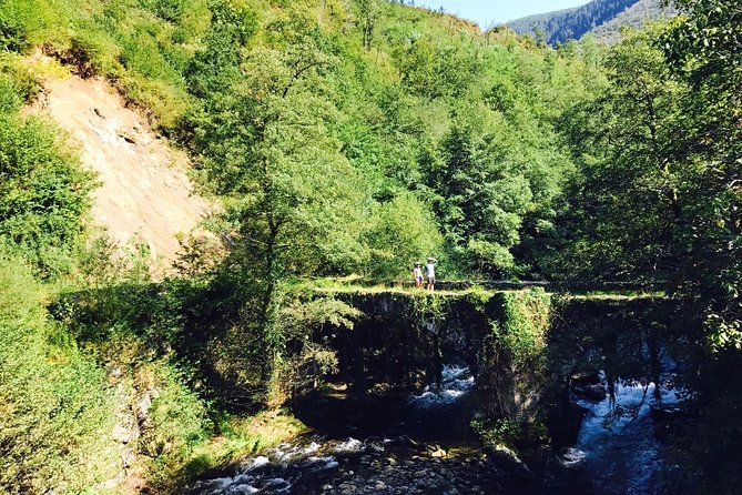 The Train Track Trail Mountain Bike Ride - Private experience - The river stop and Basque picnic