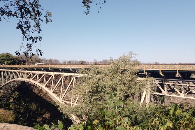 The Tram Bridge Tour in Victoria Falls - Is $85 good value?