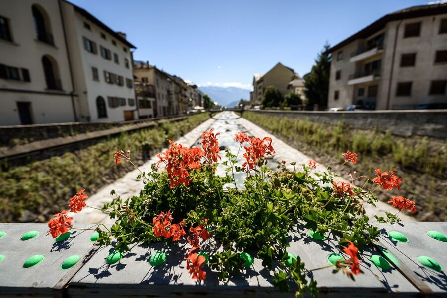 Tirano: Bernina Red Train and Cablecar to Diavolezza Refuge - What the $177 price really covers