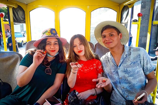 TLAQUEPAQUENSE DAY, Tram + Workshops + Gastronomy - The tram gives you a useful first look