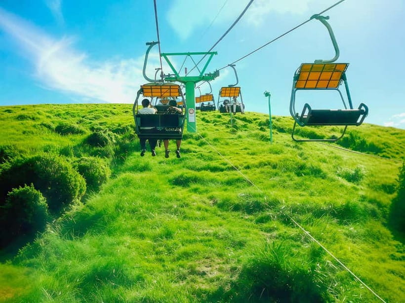 Tokyo:Izu Penisula Train Mt Omuro, Capybara Sightseeing Trip - Key things to know before you book