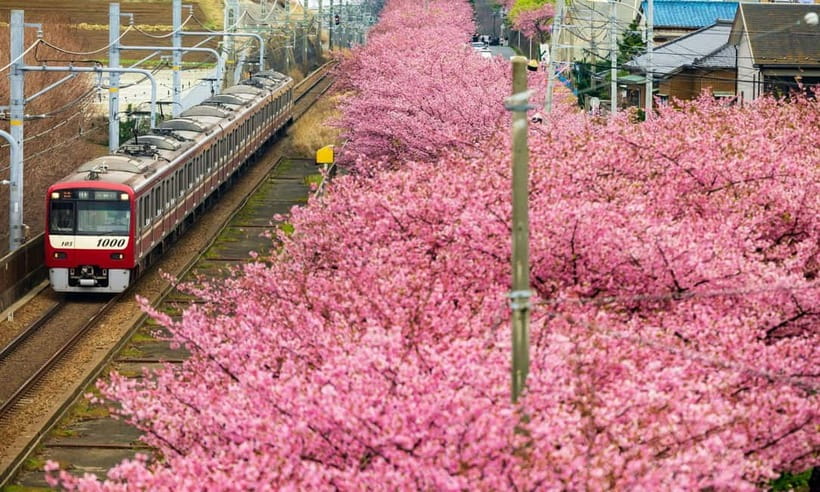 Tokyo:Izu Penisula Train Mt Omuro, Capybara Sightseeing Trip - Leaving Tokyo for the Izu Peninsula
