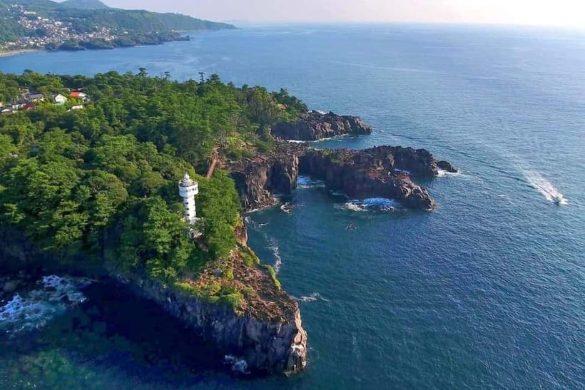Tokyo:Izu Penisula Train Mt Omuro, Capybara Sightseeing Trip - The 25-minute Izu Ocean Train ride
