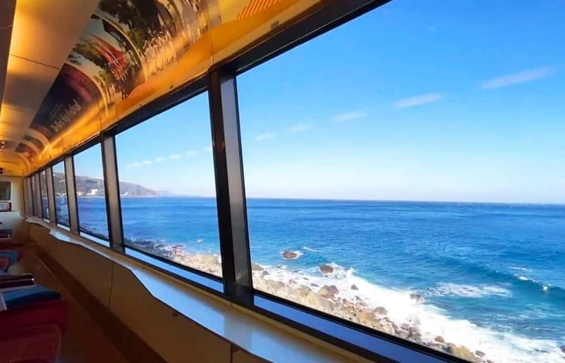 Tokyo: Izu Scenic Oceanview Train, Volcano, Coast Day Trip - What This Izu Day Trip Really Offers