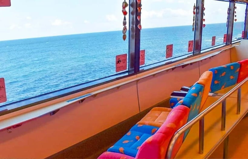 Tokyo: Izu Scenic Oceanview Train, Volcano, Coast Day Trip - Cacti, Kangaroos, and Capybara Hot Springs