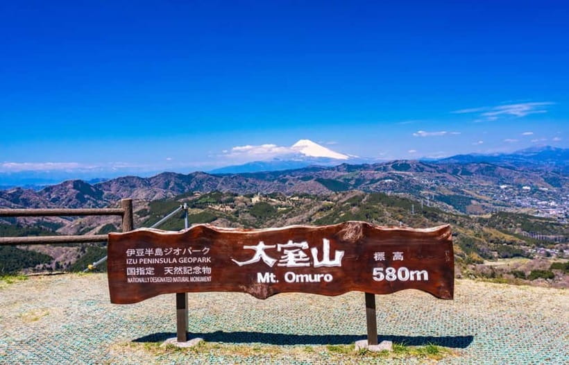 Tokyo: Izu Scenic Oceanview Train, Volcano, Coast Day Trip - Jogasaki Coast and the Kadowaki Bridge