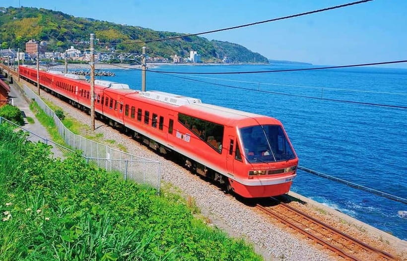 Tokyo: Izu Scenic Oceanview Train, Volcano, Coast Day Trip - Omuroyama, a Matcha-Colored Volcano