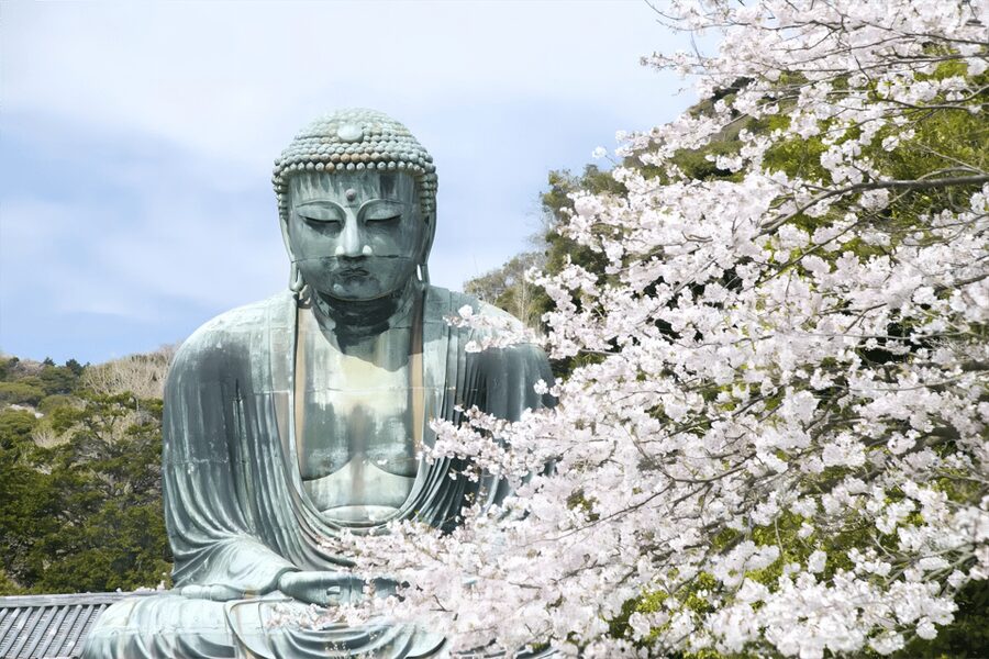 Tokyo: Kamakura & Enoshima Day Tour with Pickup & Train Ride - Komachi Street for snacks and shopping