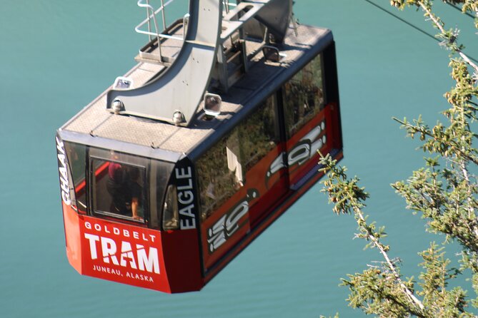 Trails and Ale Tour and Tram Combo - Key points to know before booking