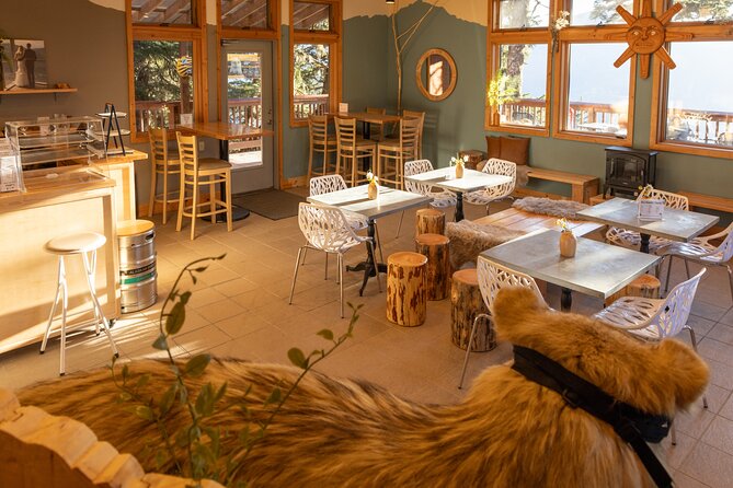 Trails and Ale Tour and Tram Combo - Who should choose this Mount Roberts outing?