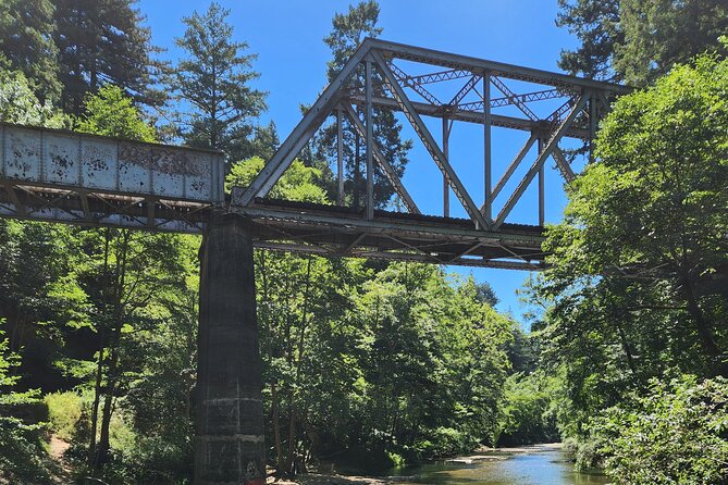 Train Ride Adventure through Mother Natures Giant Redwoods Park - What $249 buys you