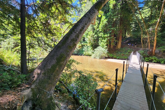 Train Ride Adventure through Mother Natures Giant Redwoods Park - The schedule, group size, and practical limits