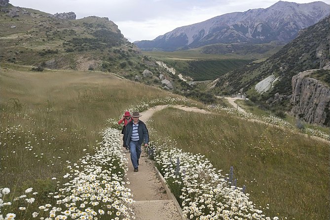 Tranz Alpine Train Tour - Why the small group matters