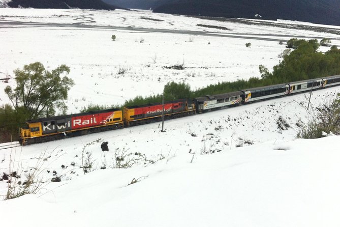 Tranz Alpine Train Tour - Starting early in central Christchurch