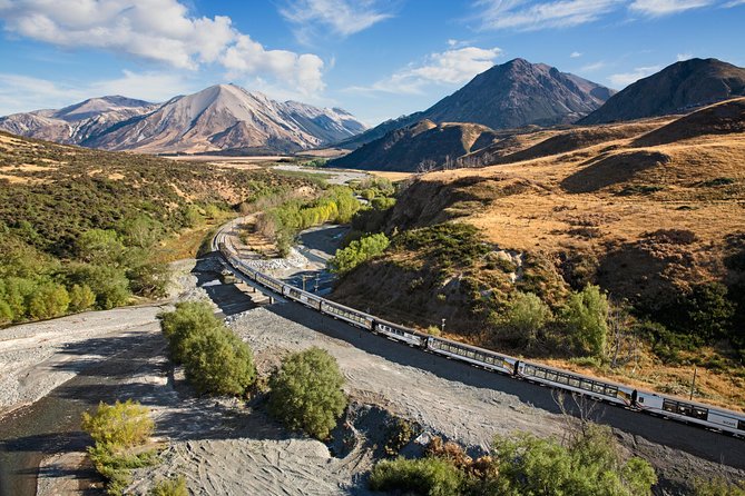 TranzAlpine Train Journey from Greymouth to Christchurch - Key points to know before you book