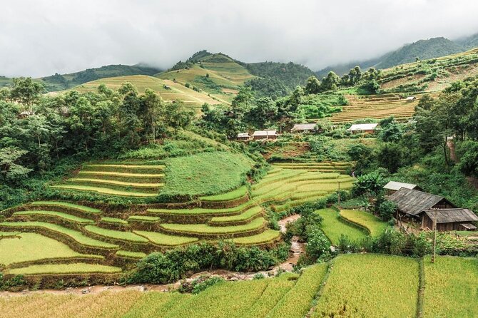 Trekking Sapa - Bac Ha Market: Sleep on Train & Homestay - Key points to know before booking