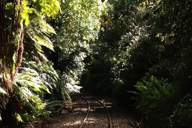 Ultimate self-drive rail car journey - Who Should Book This Rotorua Outing?