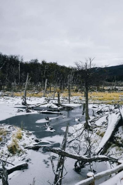 USHUAIA | Tierra del Fuego National Park & Optional Train