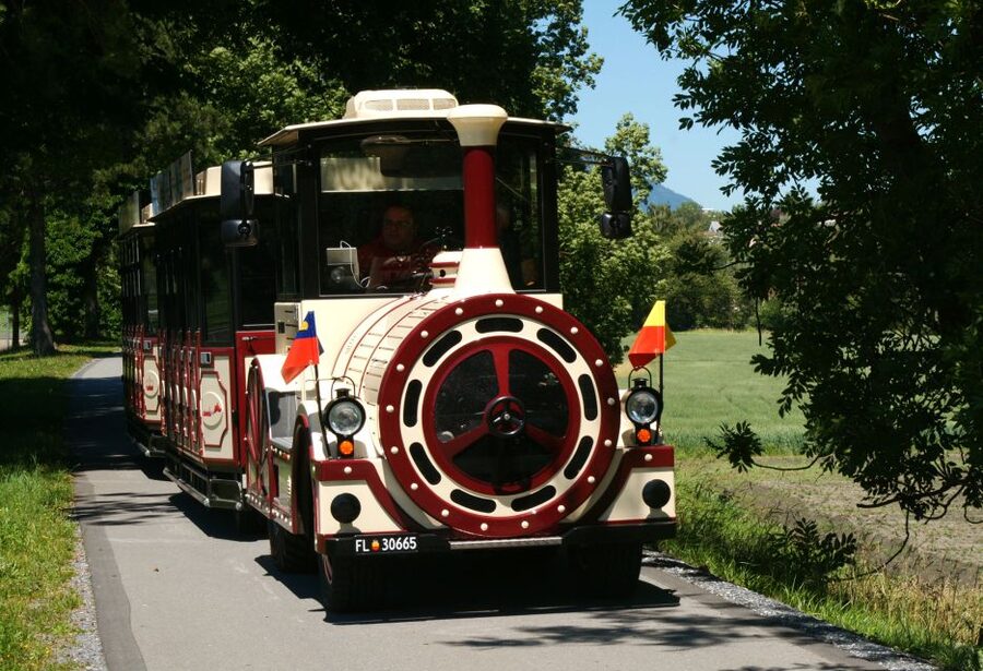 Vaduz: City Train Tour - Vineyards and the Red House photo stop