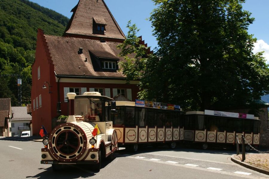 Vaduz: City Train Tour - Beyond the center into the countryside