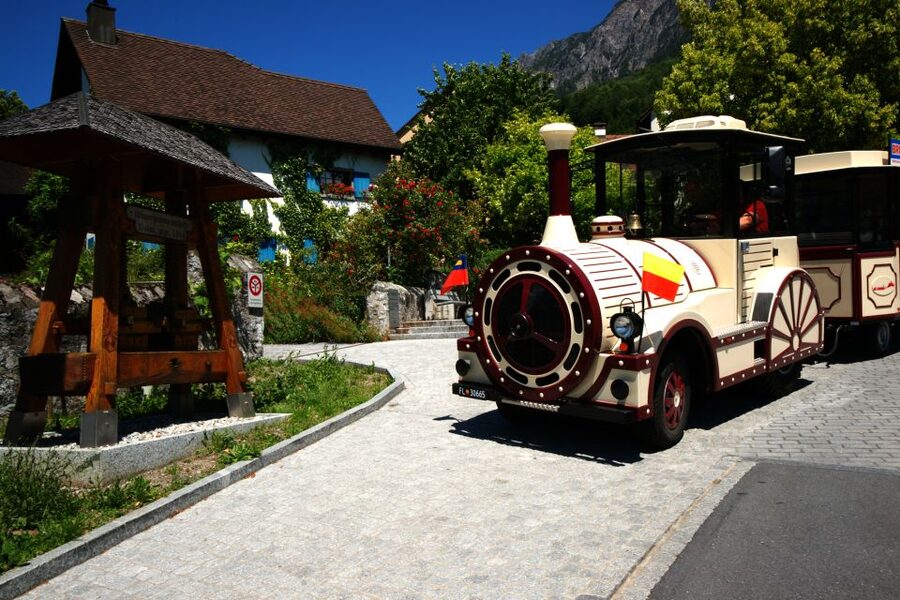 Vaduz: City Train Tour - Passing Rheinpark Stadium on the return