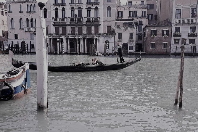 Venice Full Day tour from Milan by high speed train. Small Group - Who should book this Milan to Venice day trip?