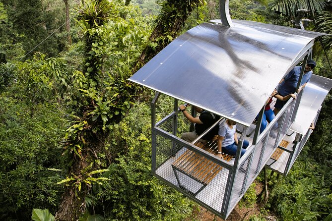 Veragua Rainforest Walk, Tram & Tortuguero Boat Tour. Limon Shore Excursion - Key points to know before booking