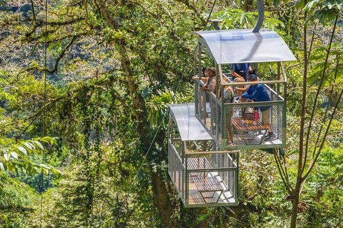 Veragua Rainforest Walk, Tram & Tortuguero Boat Tour. Limon Shore Excursion - Starting in Puerto Limón at 8:00 a.m.