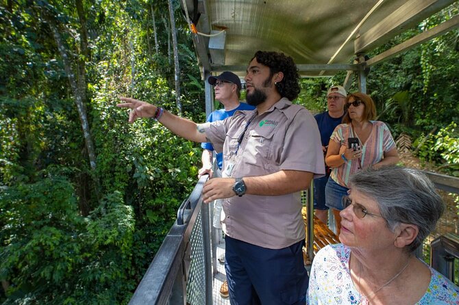 Veragua Rainforest Walk, Tram & Tortuguero Boat Tour. Limon Shore Excursion - Veragua’s tram ride through the trees
