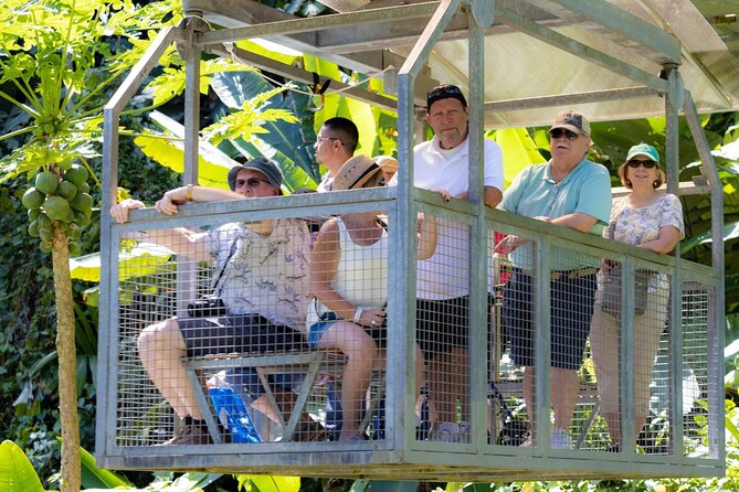 Veragua Rainforest Walk, Tram & Tortuguero Boat Tour. Limon Shore Excursion - Choosing between the Trail of the Giants and Puma Waterfall