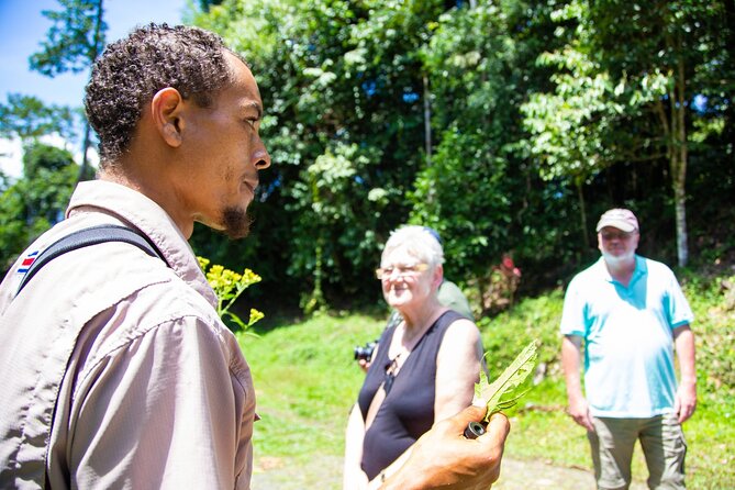 Veragua Rainforest Walk, Tram & Tortuguero Boat Tour. Limon Shore Excursion - Tortuguero canals by small boat