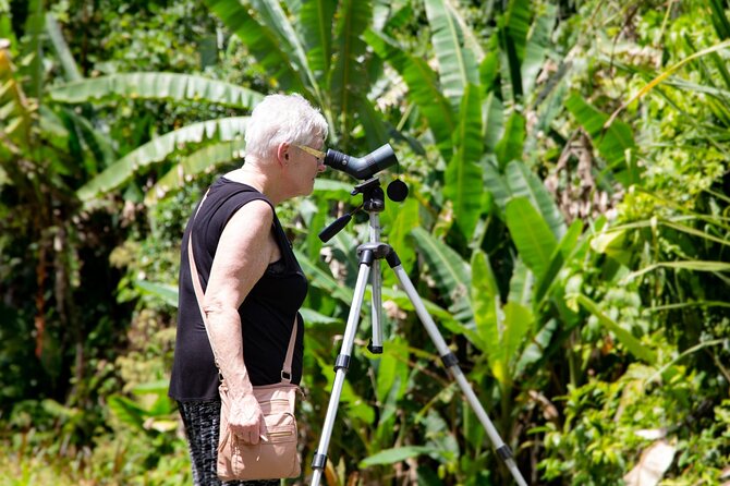 Veragua Rainforest Walk, Tram & Tortuguero Boat Tour. Limon Shore Excursion - The road to Veragua and what it means for your day