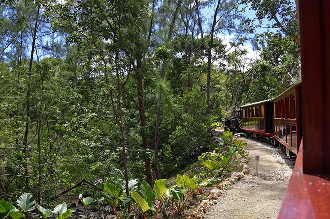 Victorian Steam Railway to Cherry Tree Hill + Great House Tour - Inside the Great House and museum