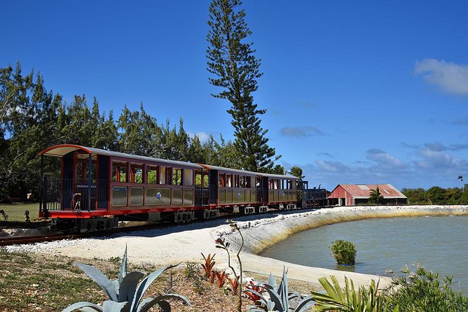 Victorian Steam Railway to Cherry Tree Hill + Great House Tour - The distillery and rum tasting