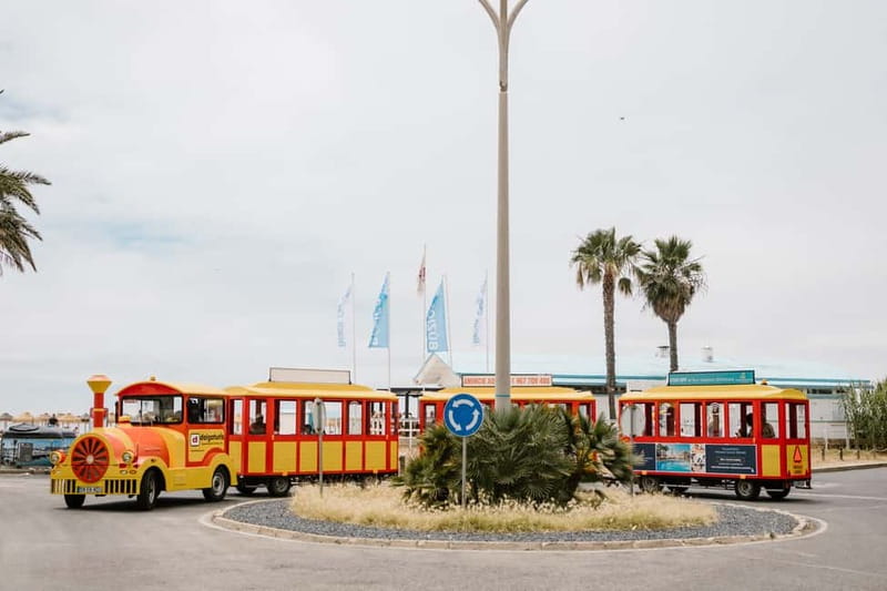 Vilamoura: Tourist Train City Tour - Starting beside the marina
