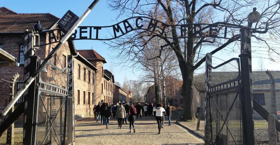 Warsaw: Tour to Krakow and Auschwitz by Train with Pickup - Who should book this day trip