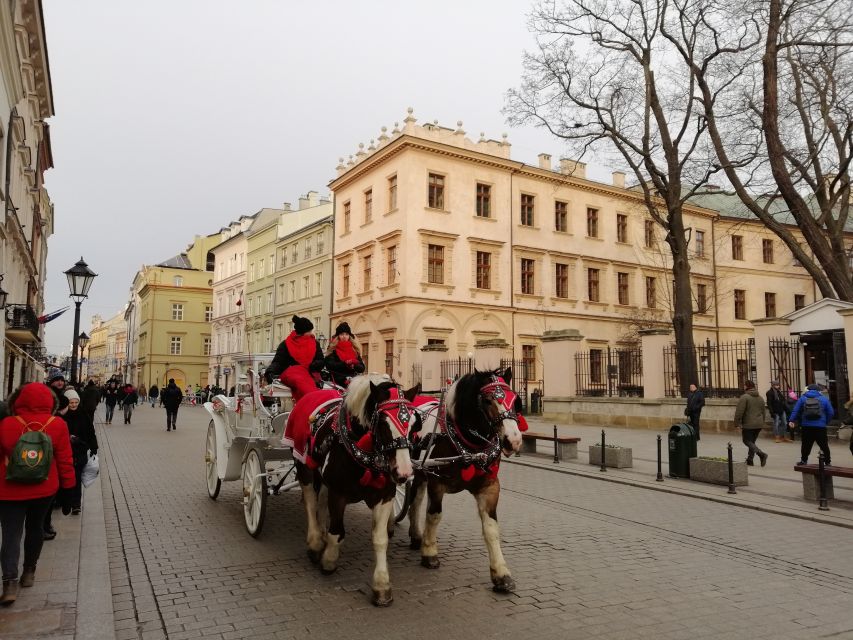 Warsaw: Tour to Krakow and Auschwitz by Train with Pickup - Should you book this Warsaw to Auschwitz and Krakow tour?