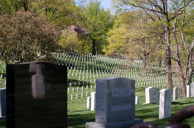 Washington DC: Arlington Nat. Cemetery Ticket & Tram Tour - Why the trolley matters at Arlington