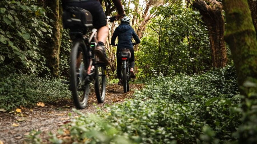 Wellington: Remutaka Rail Trail Cycle Tour - Weather, clothing, and comfort