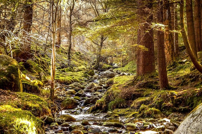 Wicklow Mountains, Avoca and Glendalough Rail Tour from Dublin - Should you book the Wicklow rail tour?