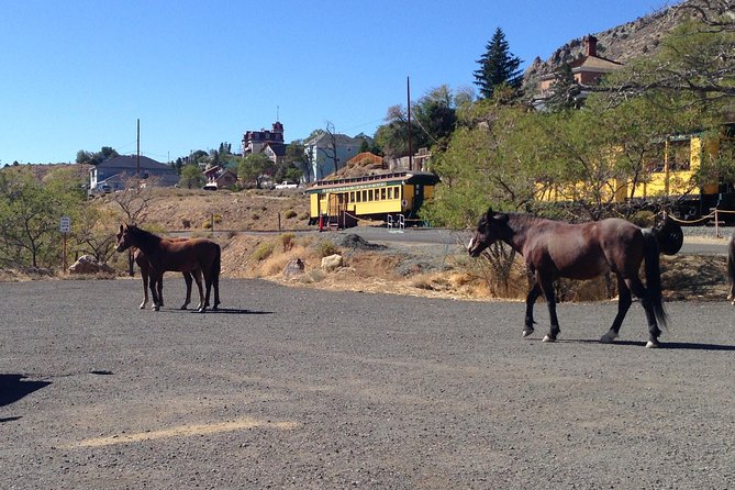 Wild West Day Trip to Virginia City from Tahoe with Train Ride - What the day is like for different types of visitors