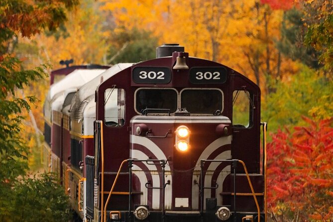 Winnipesaukee Scenic Railroad - Who will enjoy the Winnipesaukee Scenic Railroad