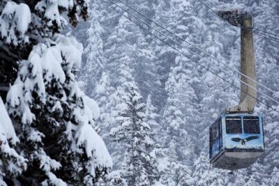 Winter – Alaska Wildlife Center with Alyeska Tram
