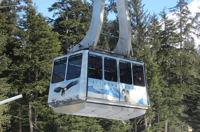 Winter - Alaska Wildlife Center with Alyeska Tram - Is $129 a good value?