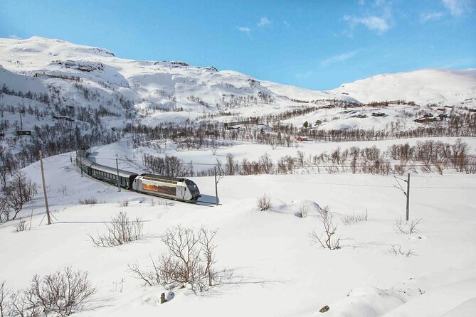 Winter Tour Viking Village, Nærøyfjord Cruise and Flåm Railway - The Bergen return and what the timing means