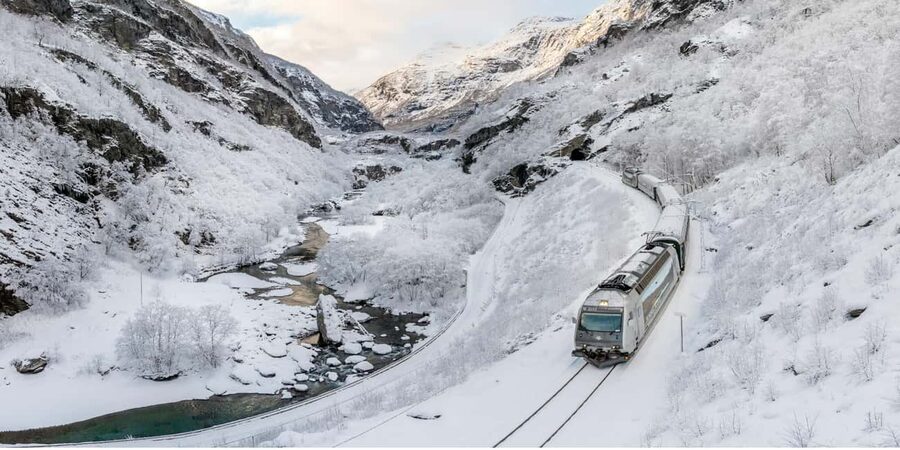 Winter Tour Viking Village, Nærøyfjord Cruise & Flåm Railway - Key points to know before booking